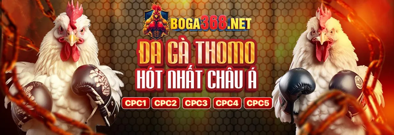 Đá Gà Trực Tuyến Hấp Dẫn tại soi69 link vào